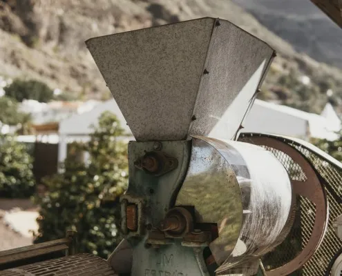 Finca Los Castaños 4