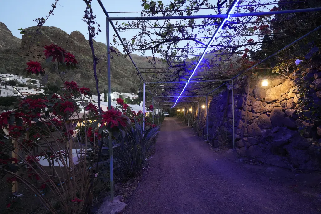 Finca Los Castaños 6