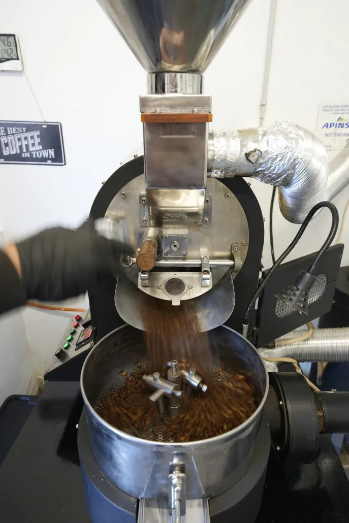 Finca Los Castaños 7