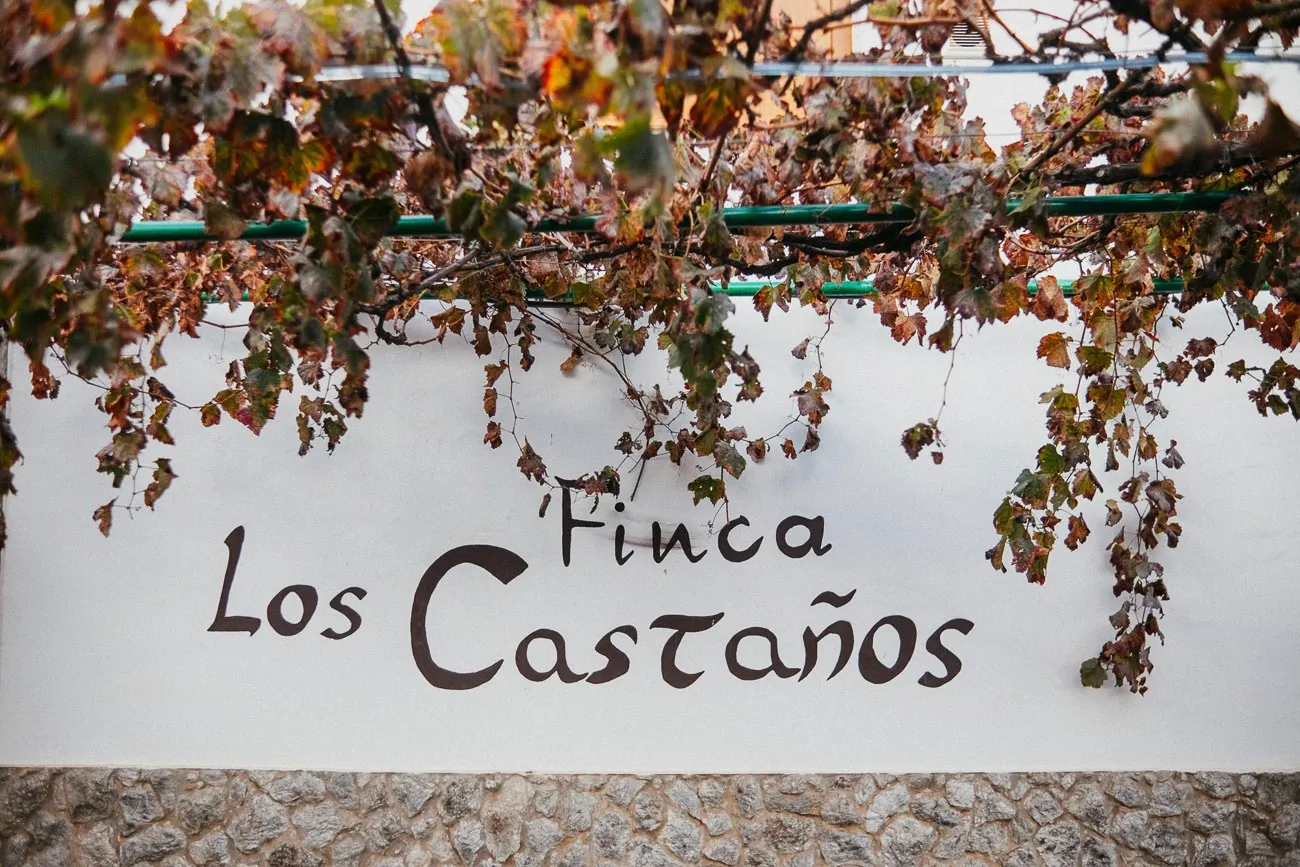 Finca Los Castaños 9