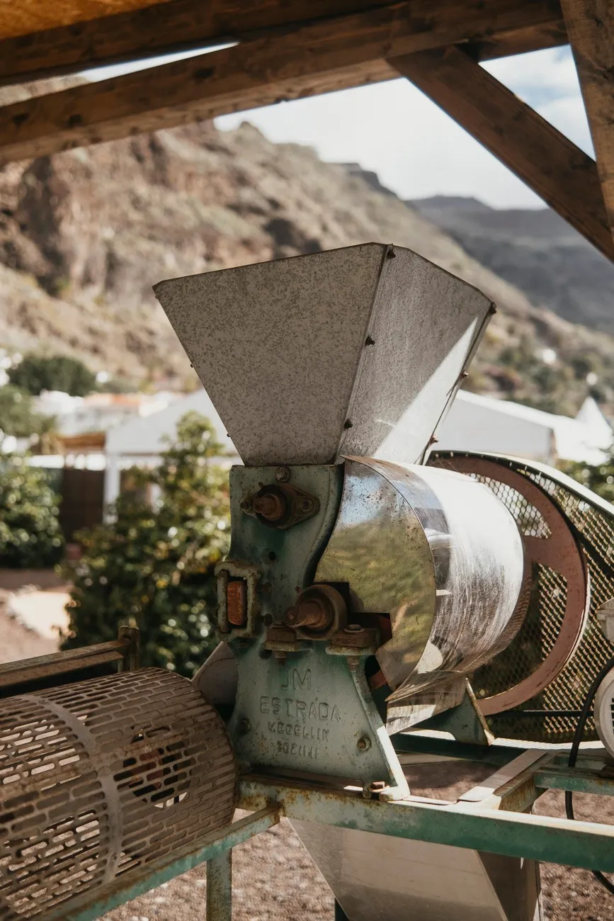 Finca Los Castaños 11