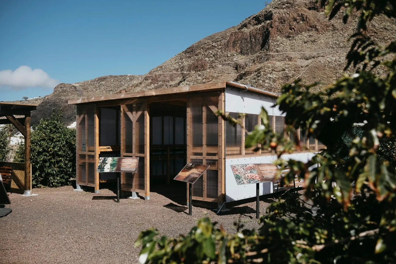 Finca Los Castaños 13