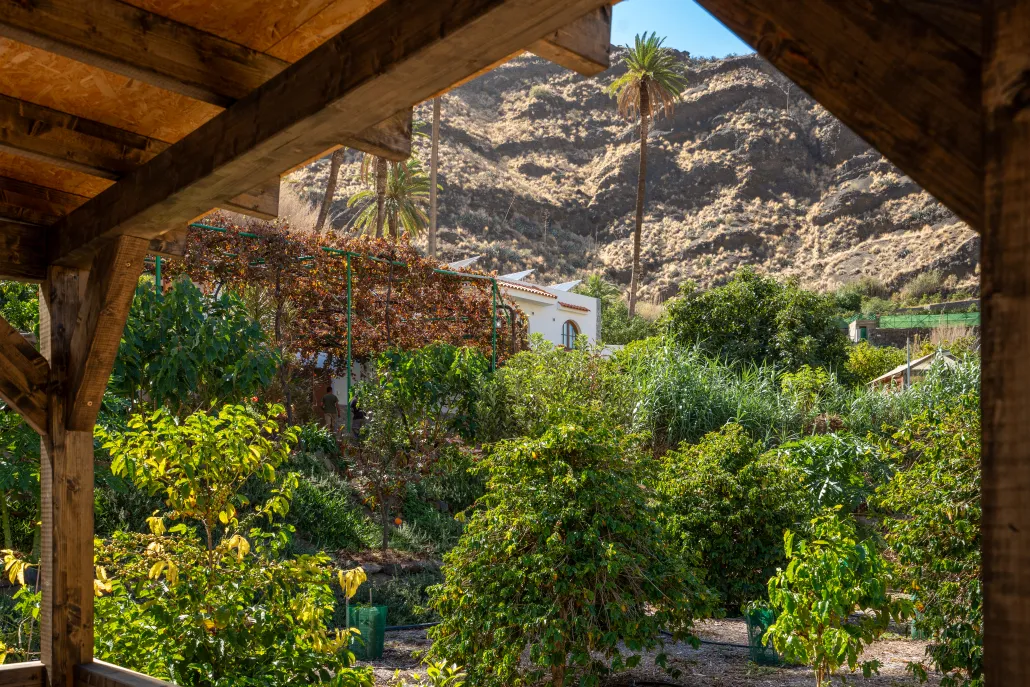 Finca Los Castaños 15