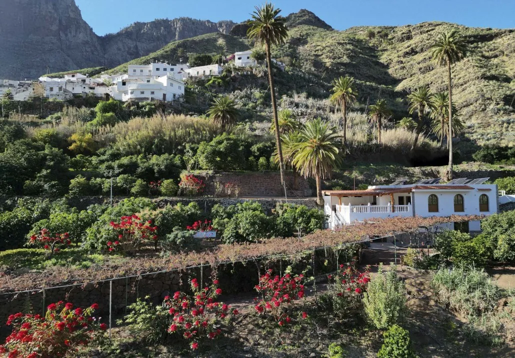 Finca Los Castaños 17