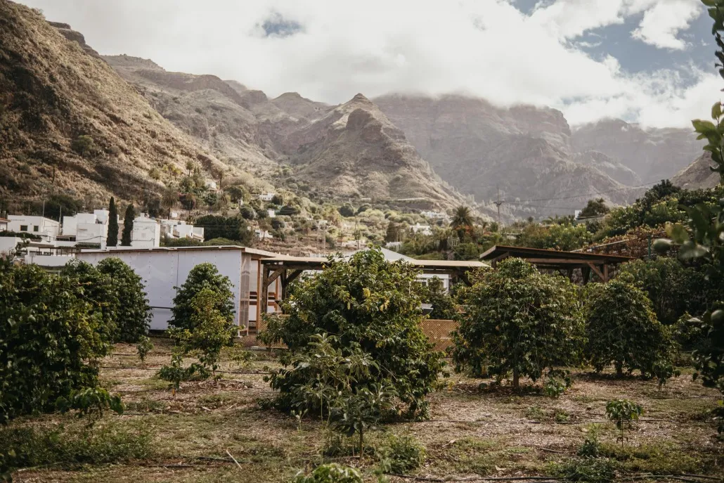 Finca Los Castaños 18