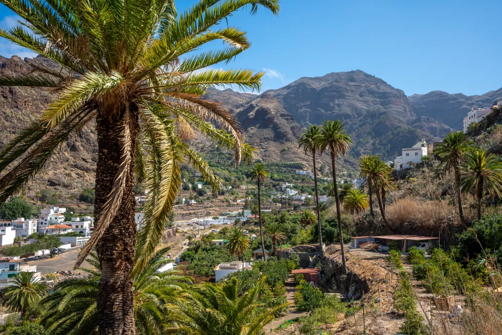 Finca Los Castaños 22