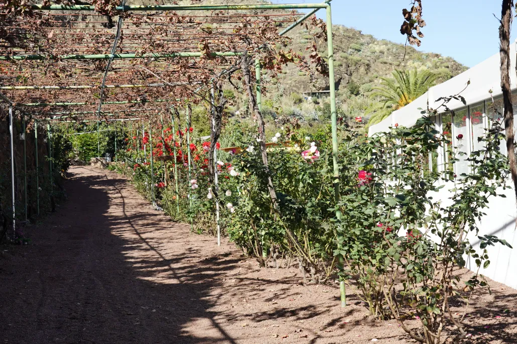 Finca Los Castaños 27