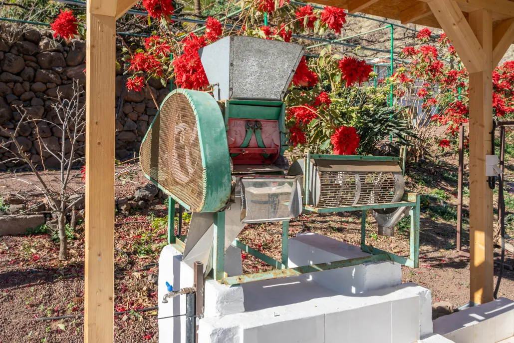 Finca Los Castaños 29