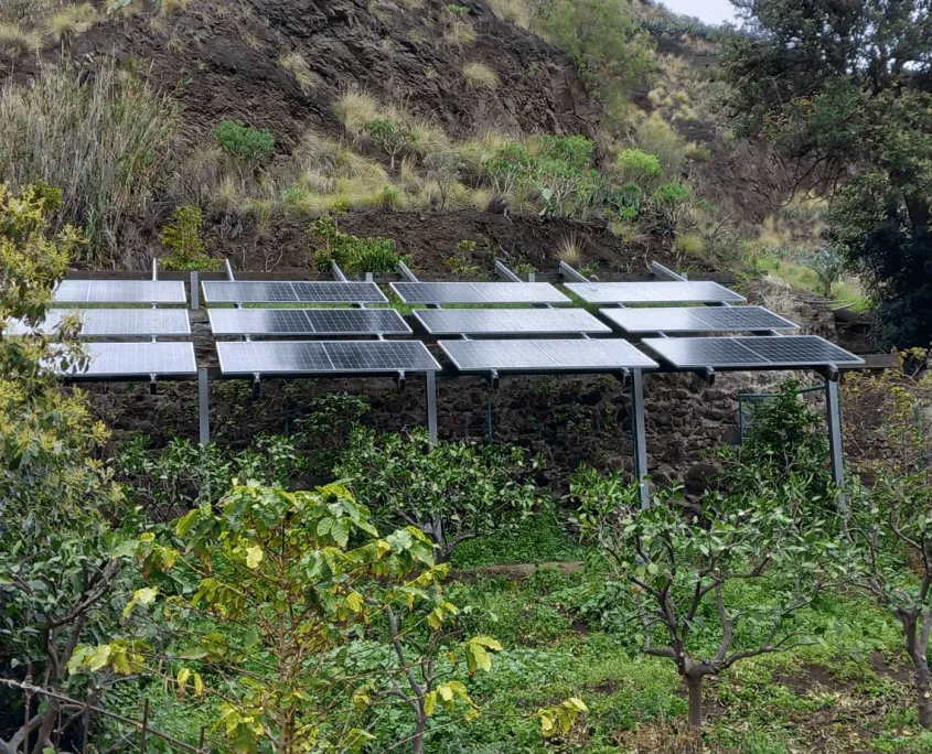 Rooted in sustainability